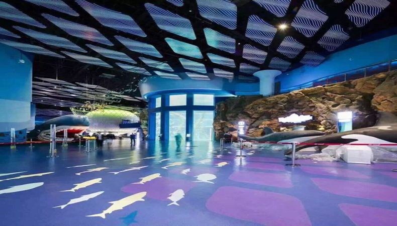 ����ʱ����(�й�)�������ǲ�!